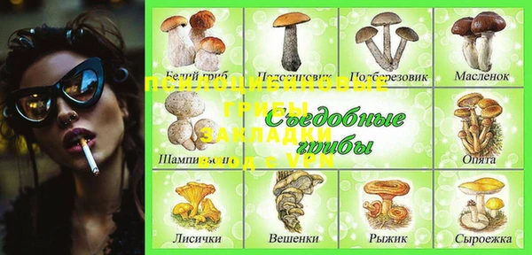 меф Каменск-Шахтинский
