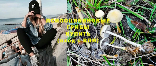 экстази Каменногорск